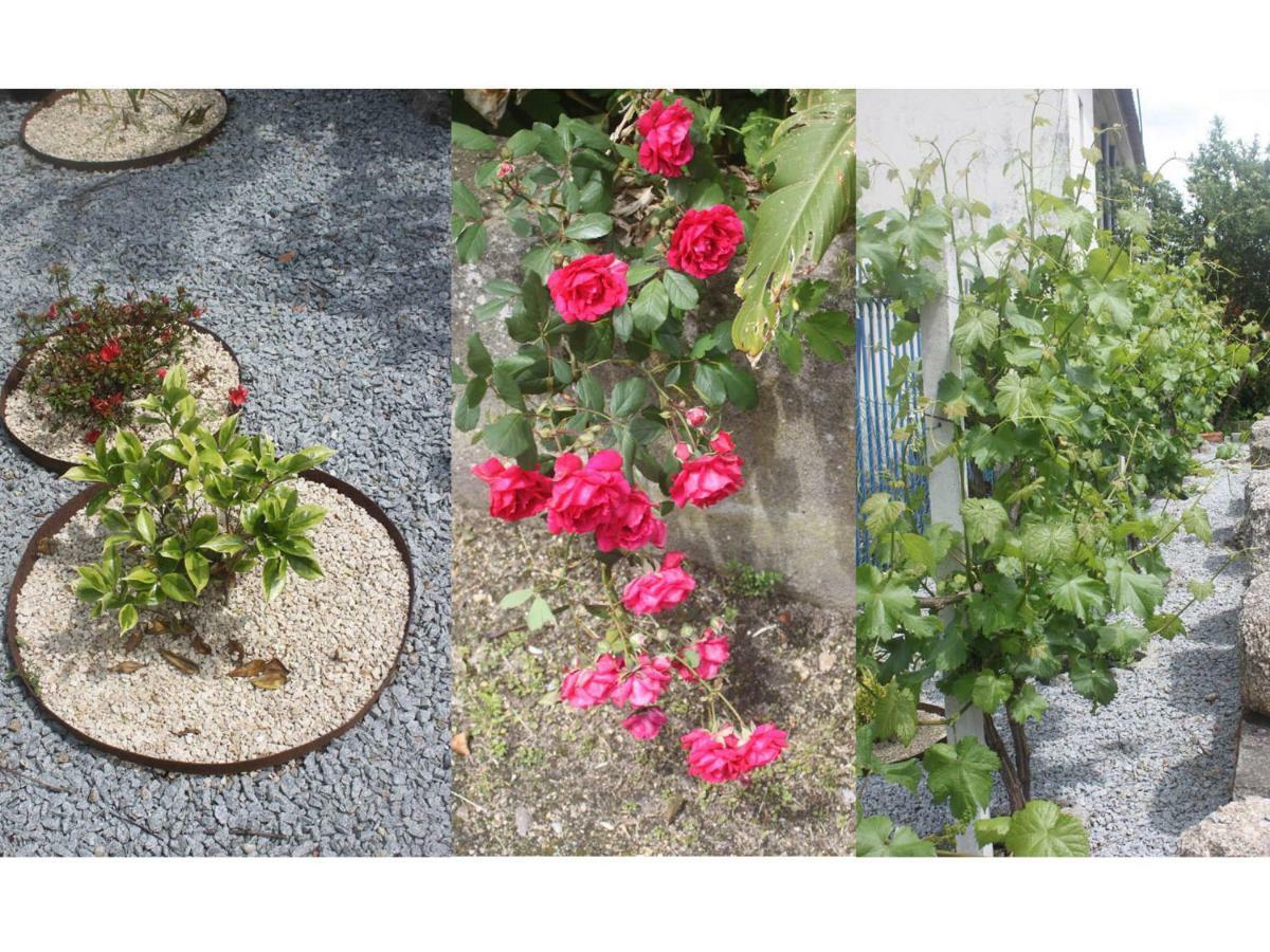 아마란테 Casas Do Arrabalde 빌라 외부 사진